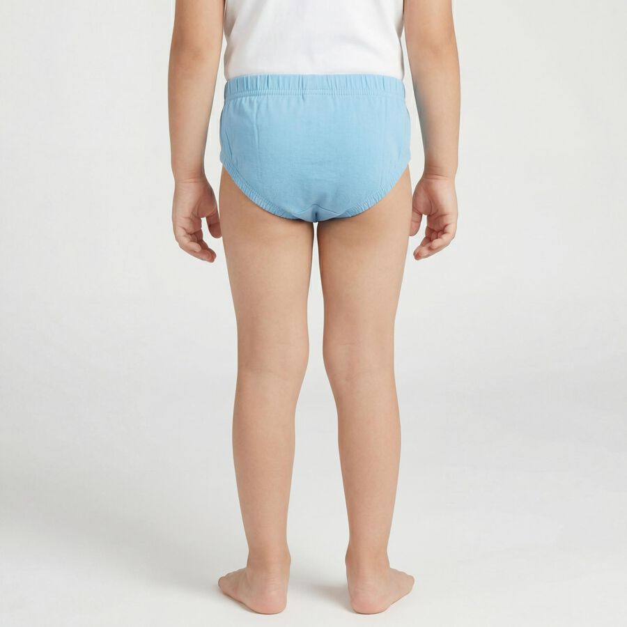 Boys Light Blue Regular Fit Solid Briefs, Light Blue, large