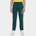 Boys Dark Green Regular Fit Side Striped Pyjama, गहरा हरा, small