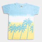 Boys' 100% Cotton Half Sleeves T-Shirt , White, small image number null