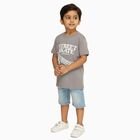 Boys Light Grey Crew Neck Casual Half Sleeve T-Shirt, Light Grey, small image number null