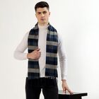 Men's Navy Blue and Grey Checkered Muffler, Light Grey, small image number null