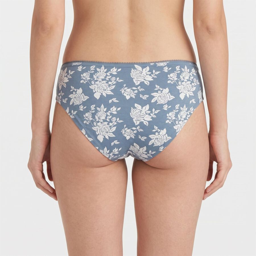 Women's Assorted Regular Fit Panty, Assorted, large