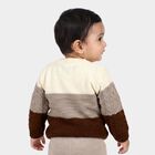 Infants Brown Crew Neck Knitted Design Pullover, भूरा, small
