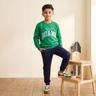 Boys' Green Crew Neck Pullover Sweatshirt, गहरा हरा, small