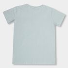 Boys' Light Sage Green Cotton Round Neck Half Sleeve T-Shirt, Light Green, small image number null