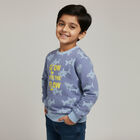 Boys Light Blue Crew Neck Casual Sweatshirt, Mid Blue, small image number null
