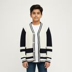Boys Off White and Navy V-Neck Casual Pullover, ऑफ व्हाइट, small image number null