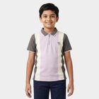Boys Lilac Cotton Polo Neck Polo Boys T-Shirt, Lilac, small