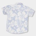 Boys' Light Powder Blue Cotton Classic Casual Shirt, Light Blue, small image number null