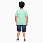 Boys' Light Green Cotton Round Neck Tiger Print Baba Suit, Light Green, small image number null