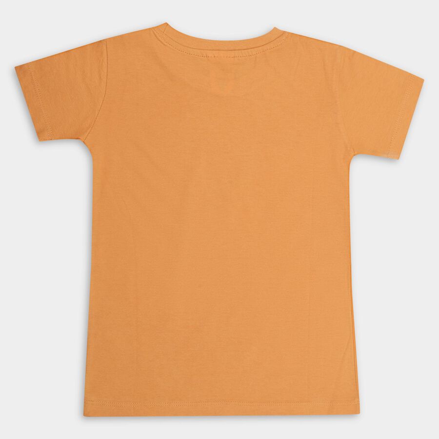 Boys' 100% Cotton Half Sleeves T-Shirt , Orange, large