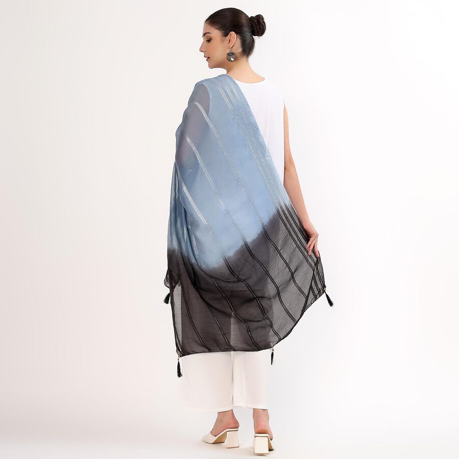 Women's Black and Blue Ombre Embroidered Dupatta, काला, large image number null