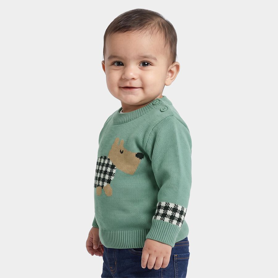 Infants Green Crew Neck Pullover, हल्का हरा, large