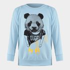 Boys Light Blue Crew Neck Graphic Sweatshirt, Light Blue, small