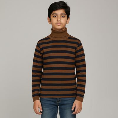 Boys Dark Brown and Navy Blue Turtleneck Casual Pullover