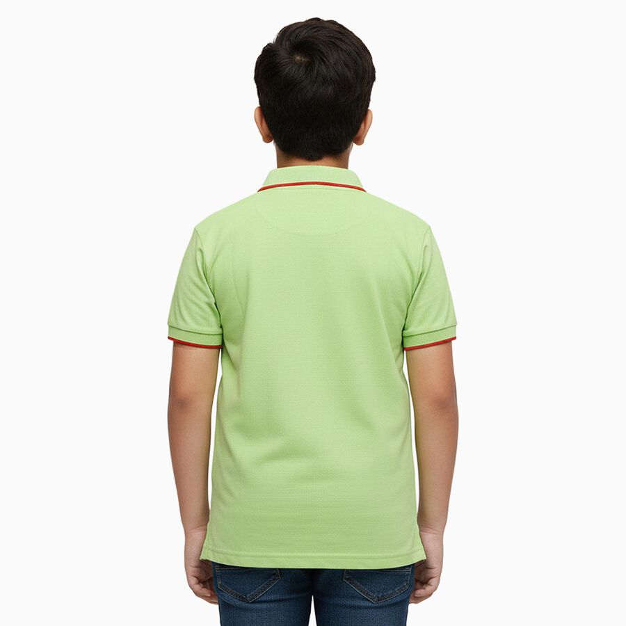 Boys Light Sage Green Cotton Round Neck Casual T-Shirt, हल्का हरा, large