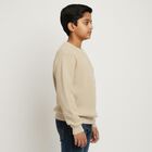 Boys Light Beige Crew Neck Casual Pullover, Beige, small image number null