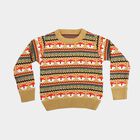 Boys' Beige Crew Neck Printed Pullover, Beige, small