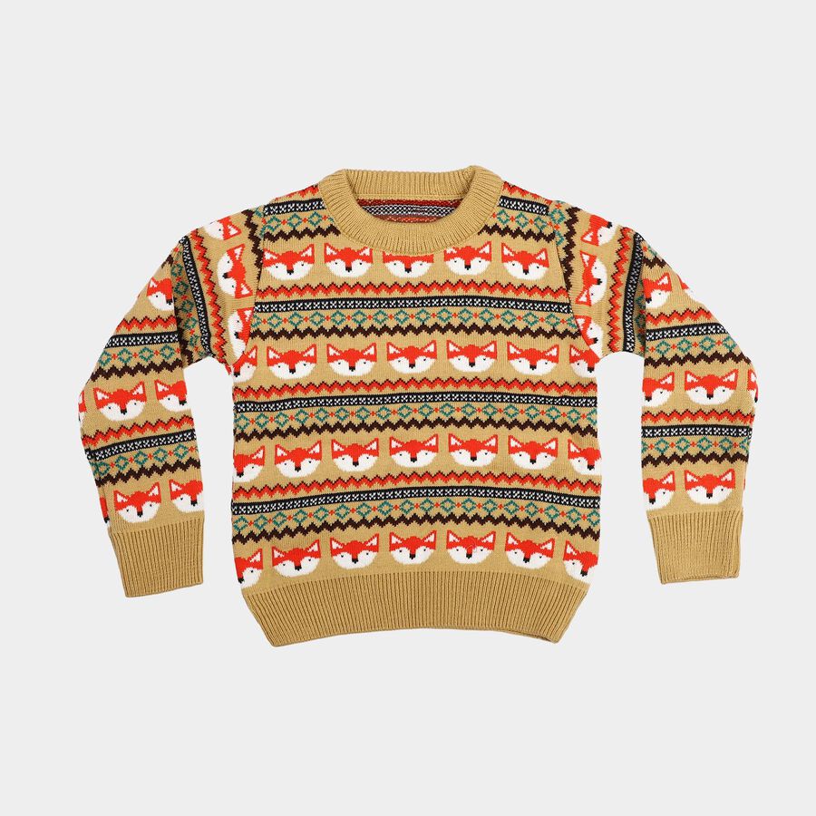 Boys' Beige Crew Neck Printed Pullover, Beige, large