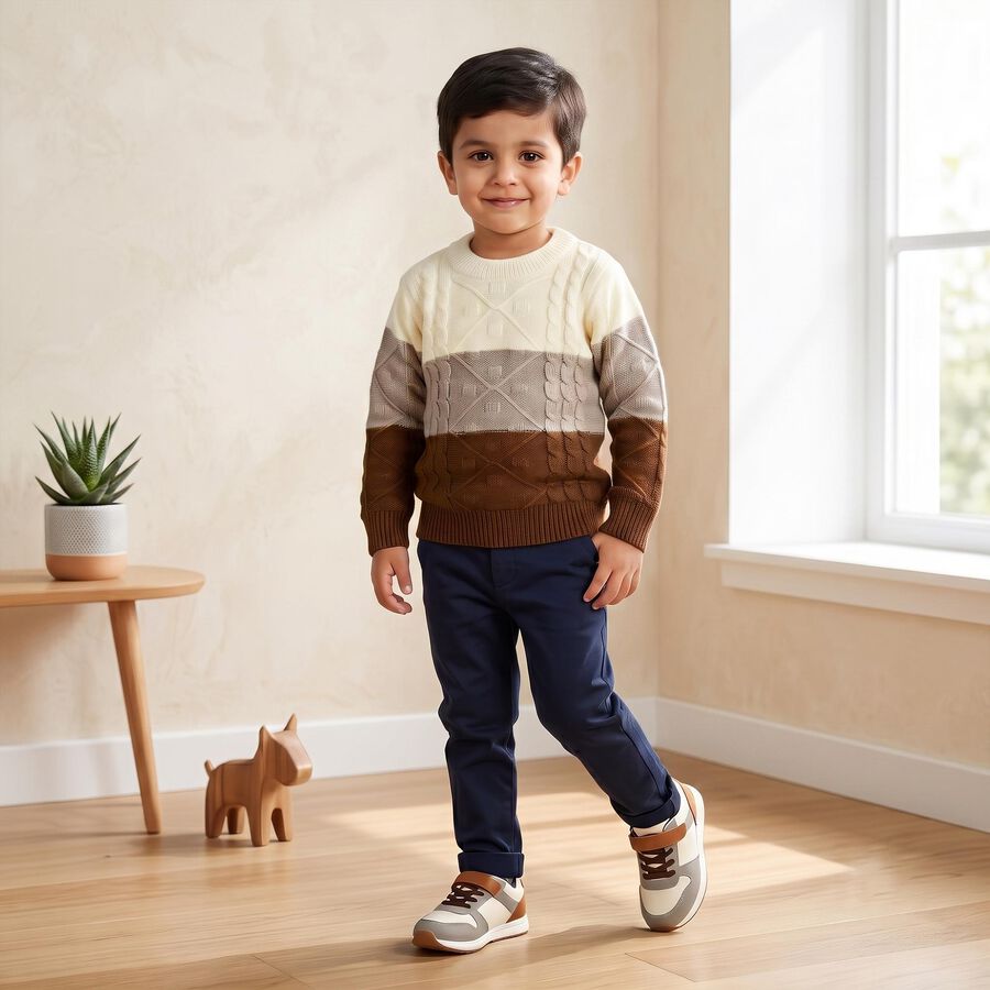 Boys Brown Crew Neck Colorblock Pullover, Brown, large