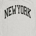 Boys Light Grey Crew Neck Casual Half Sleeve T-Shirt, Ecru Melange, small image number null