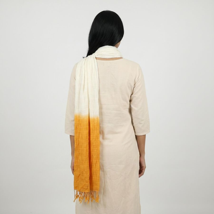 Women's Mustard Printed Dupatta, Mustard, large