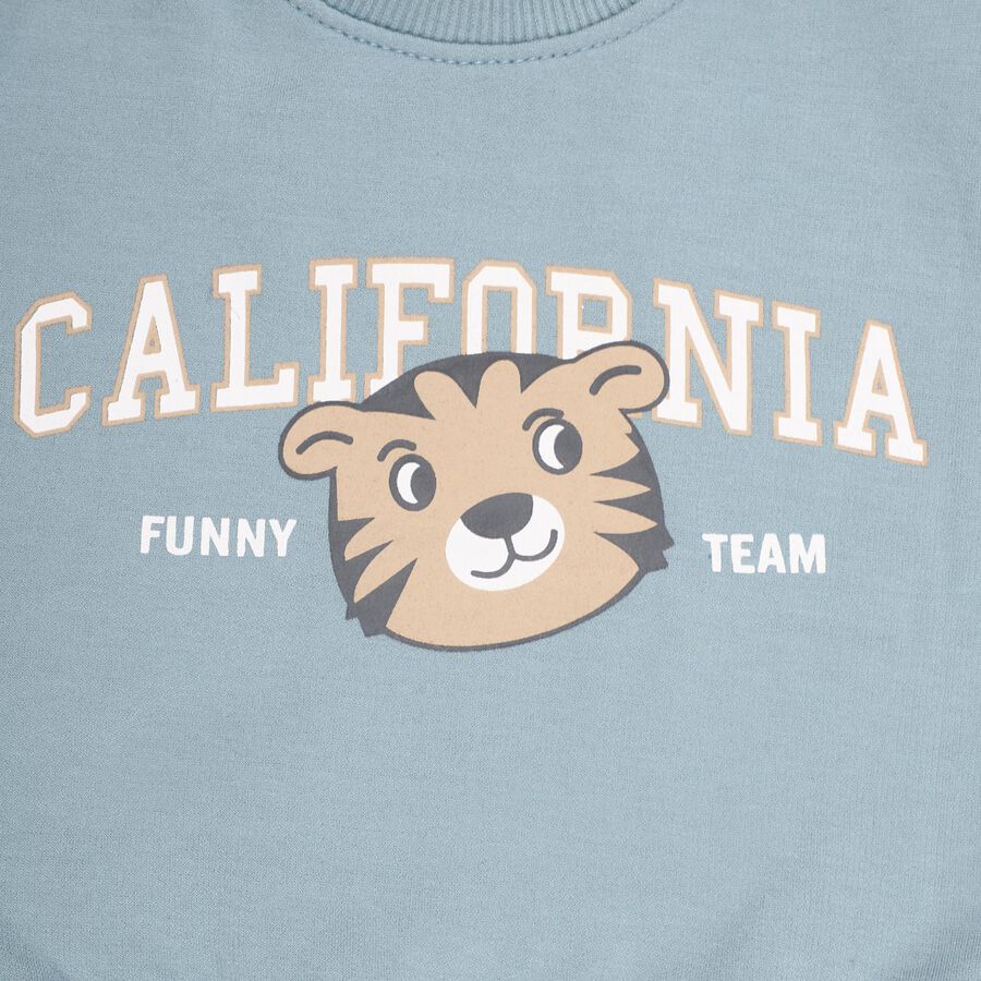 Infants Muted Baby Blue Crew Neck Casual Sweatshirt, टील ब्लू, large image number null