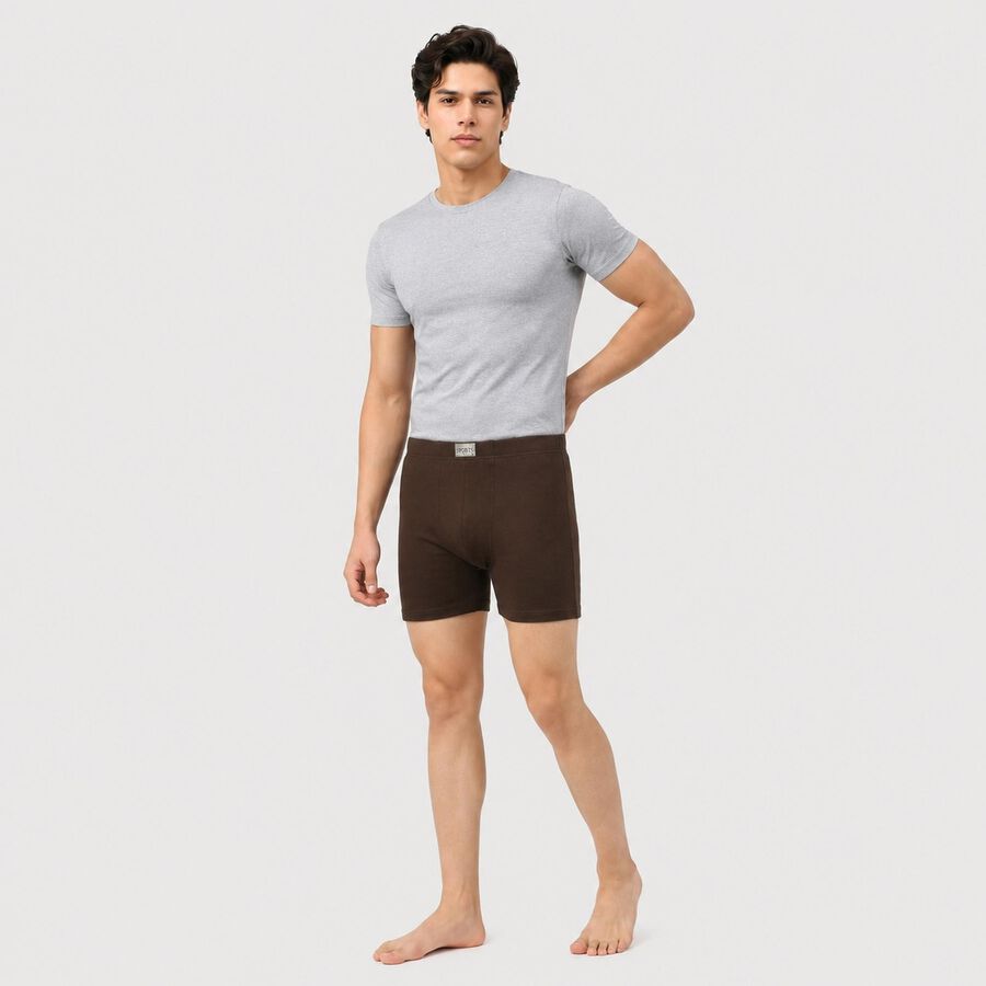Men's Brown Regular Fit Solid Trunks, Brown, large