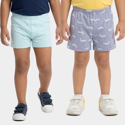 Boys' Blue Cotton Regular Fit Briefs