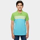 Boys' Light Green Cotton Round Neck Casual Half Sleeves T-Shirt, Light Green, small