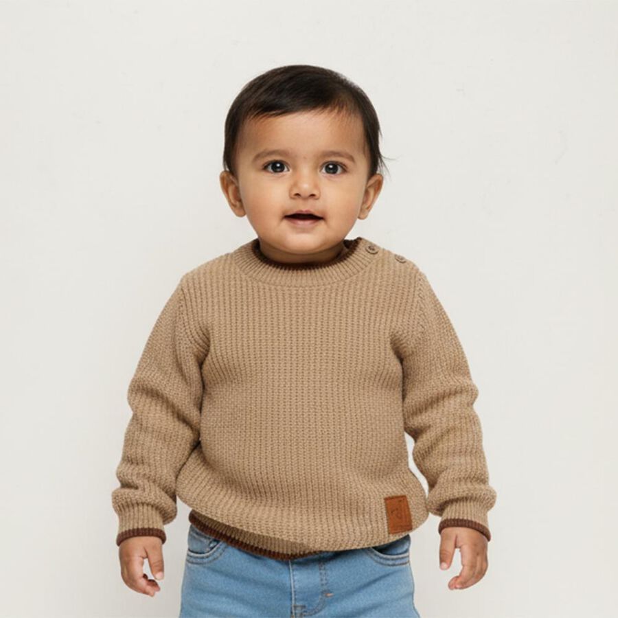 Infants Beige Crew Neck Casual Pullover, Brown, large image number null