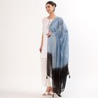 Women's Black and Blue Ombre Embroidered Dupatta, काला, small image number null