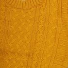 Infants Bright Mustard Yellow Round Neck Casual Pullover, Yellow, small image number null