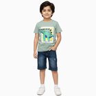 Boys Light Sage Green Cotton Crew Neck Casual T-Shirt, हल्का हरा, small image number null