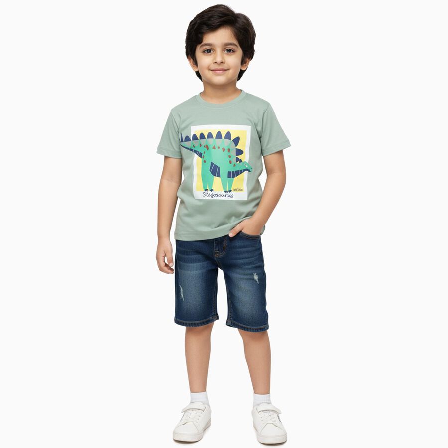 Boys Light Sage Green Cotton Crew Neck Casual T-Shirt, हल्का हरा, large image number null