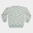 Boys Light Sage Green Crew Neck Casual Sweatshirt, हल्का हरा, small image number null