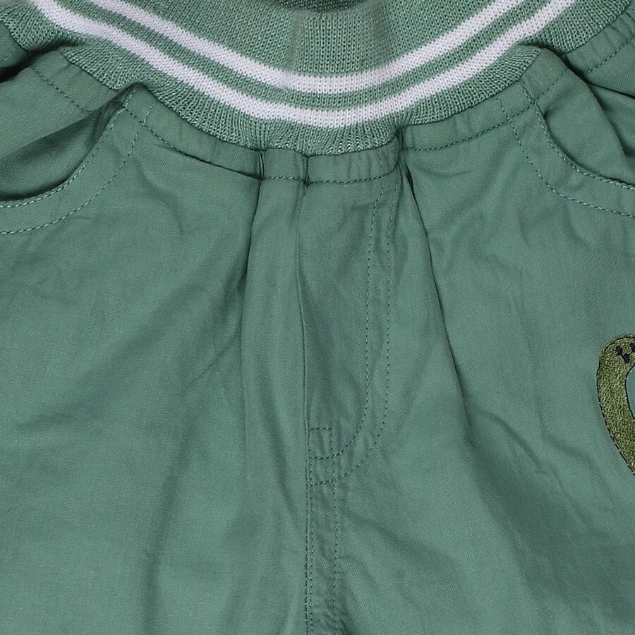 Infants' Green Regular Fit Dinosaur Embroidered Trousers, ओलिव, large