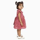 Infants' Dusty Rose Pink Floral Lace Party Frock, हल्का गुलाबी, small image number null
