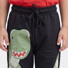 Boys' Navy Blue Dinosaur Printed Jogger Pyjama, Navy Blue, small