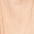 Ladies' Dupatta, Beige, small image number null