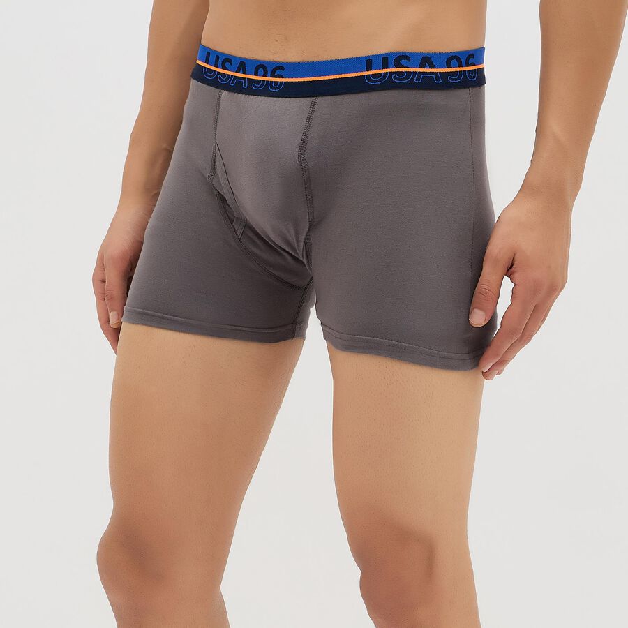 Men's Charcoal Gray Regular Fit Logo Waistband Trunks, Dark Grey, large image number null