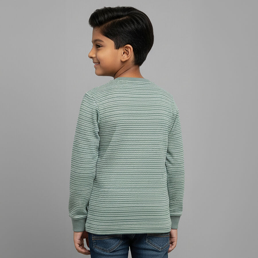 Boys' Light Sage Green Crew Neck Casual T-Shirt, हल्का हरा, large image number null