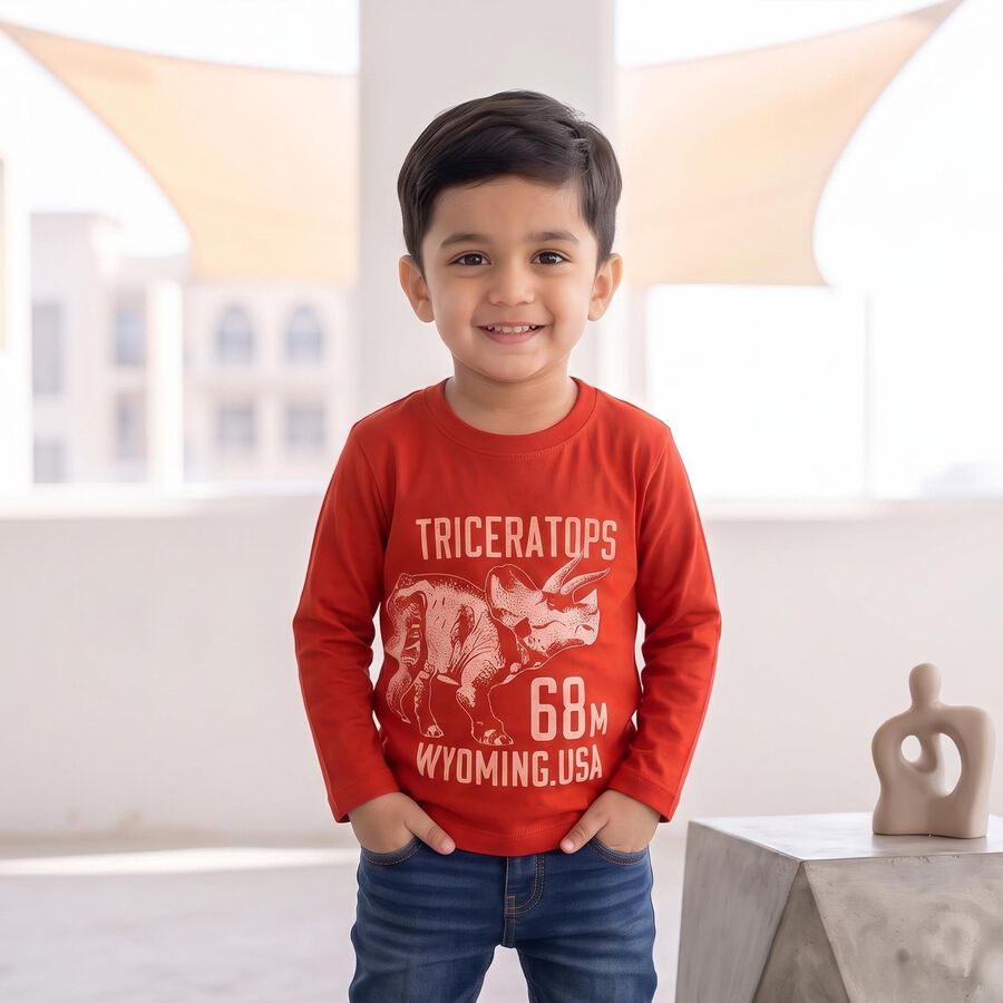Boys Rust Round Neck Regular Boys T-Shirt, रस्ट, large