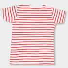 Boys' 100% Cotton Half Sleeves T-Shirt , White, small