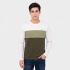 Men Olive Green Crew Neck Colorblocked T-Shirt, हल्का हरा, small