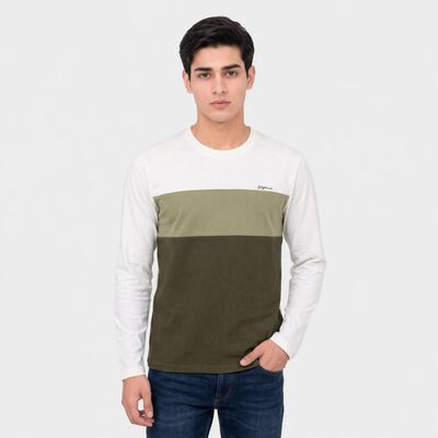Men Olive Green Crew Neck Colorblocked T-Shirt