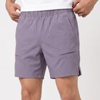 Men's Lilac Regular Fit Shorts, Lilac, small