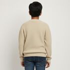Boys Light Beige Crew Neck Casual Pullover, Beige, small image number null