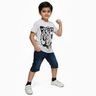 Boys Light Grey Round Neck Casual T-Shirt, एक्रू मिश्रित, small image number null