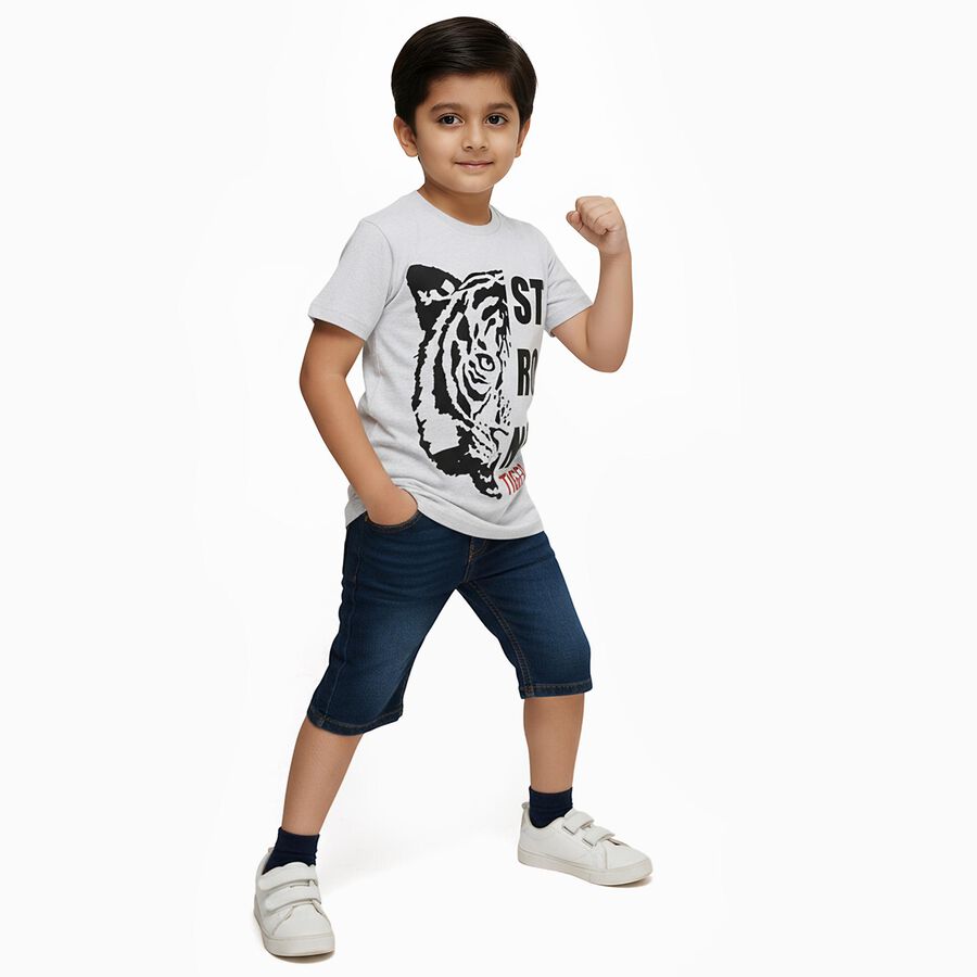 Boys Light Grey Round Neck Casual T-Shirt, एक्रू मिश्रित, large image number null